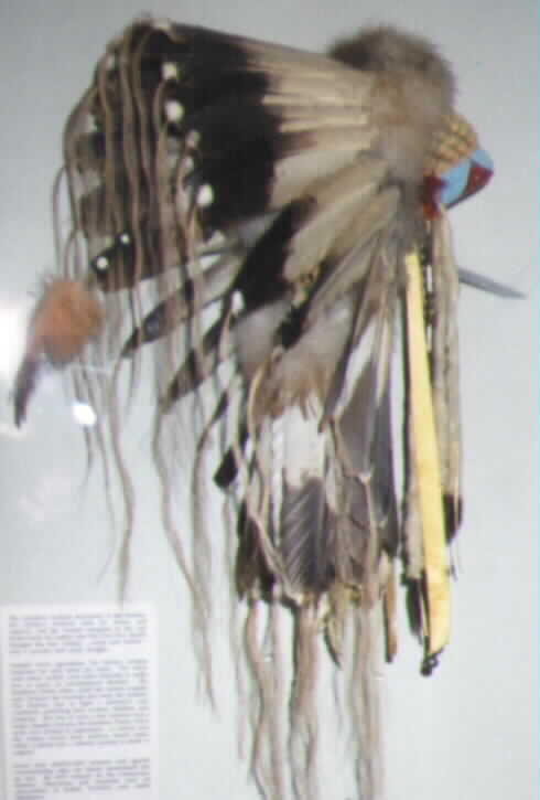 Eagle Feather War Bonnet